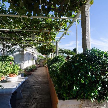 דוברובניק Guest House Jelica מראה חיצוני תמונה