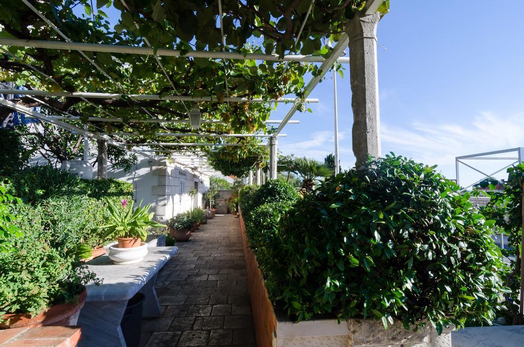 דוברובניק Guest House Jelica מראה חיצוני תמונה