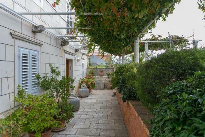 דוברובניק Guest House Jelica מראה חיצוני תמונה